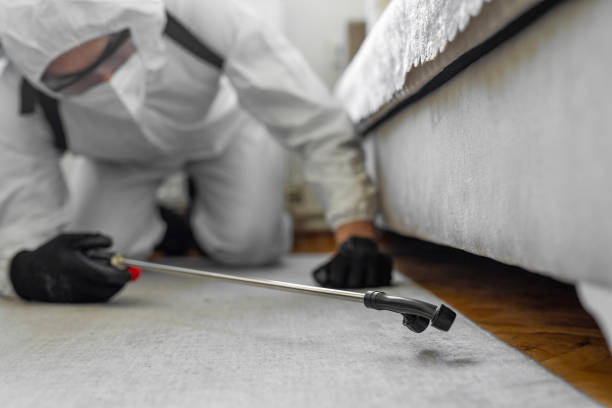 Professional Bed Bug Control technician working in Val Verde County County, TX